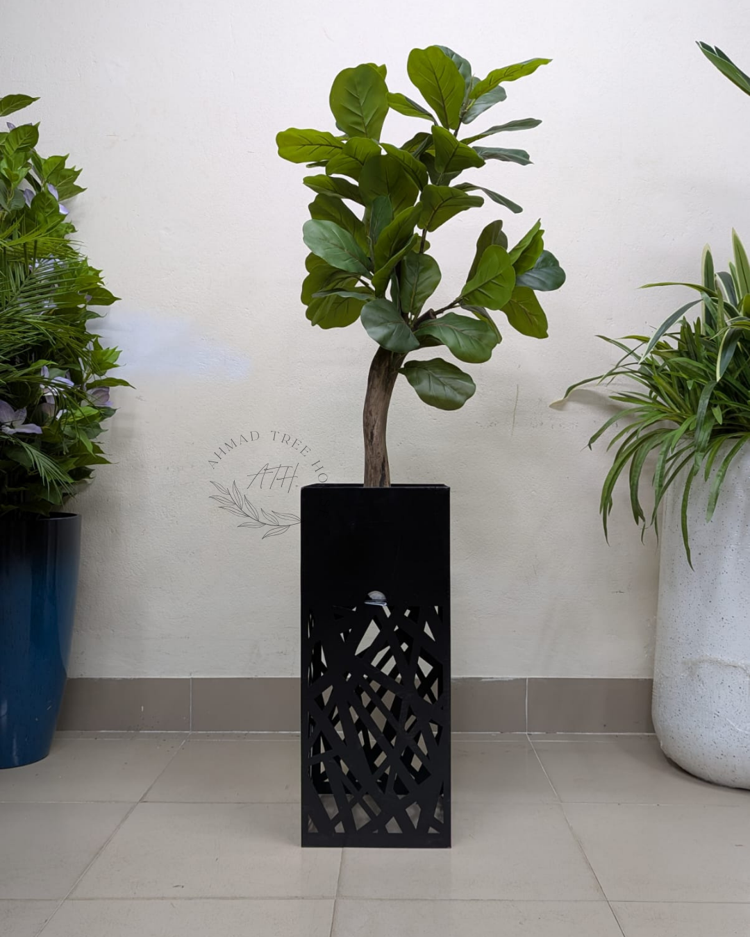 Fiddle Leaf Fig with Laser-Cut Metal Planter