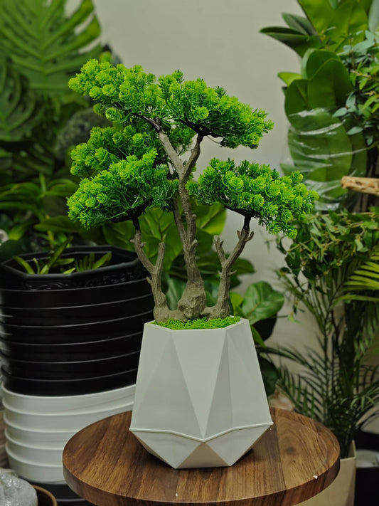 ATH-custom001 Premium Artificial Bonsai – Personalized for Your Space