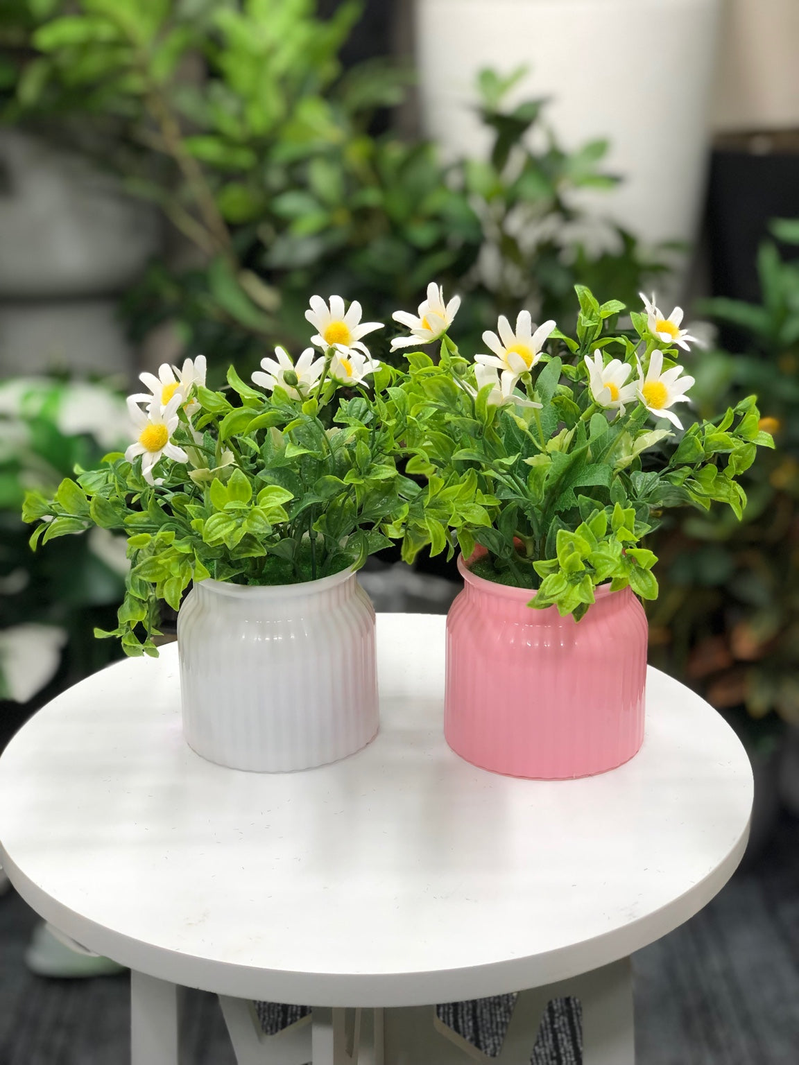 Pink and white artificial daisy flower pot combo