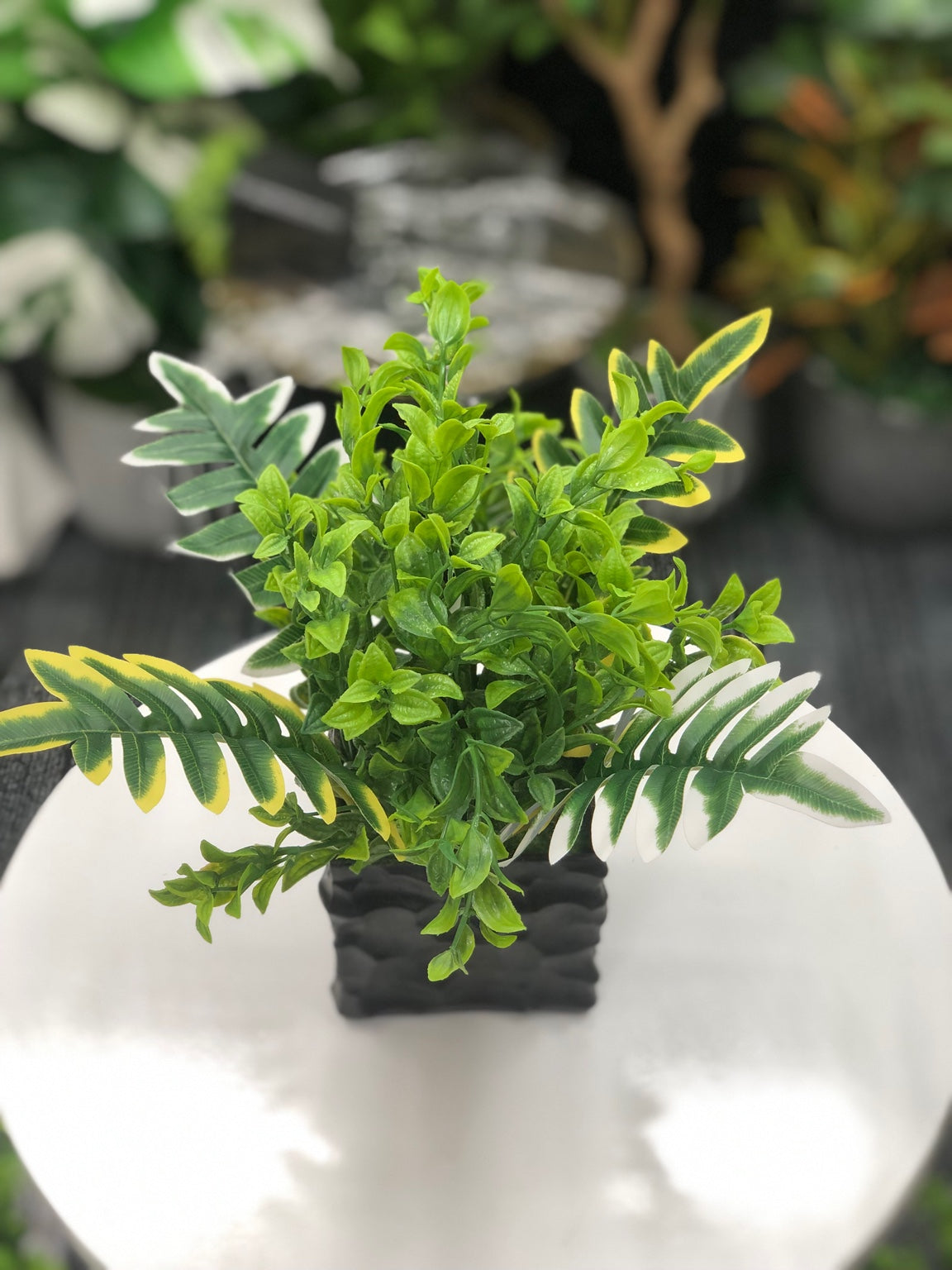 Artificial tropical greenery plant in black decorative pot