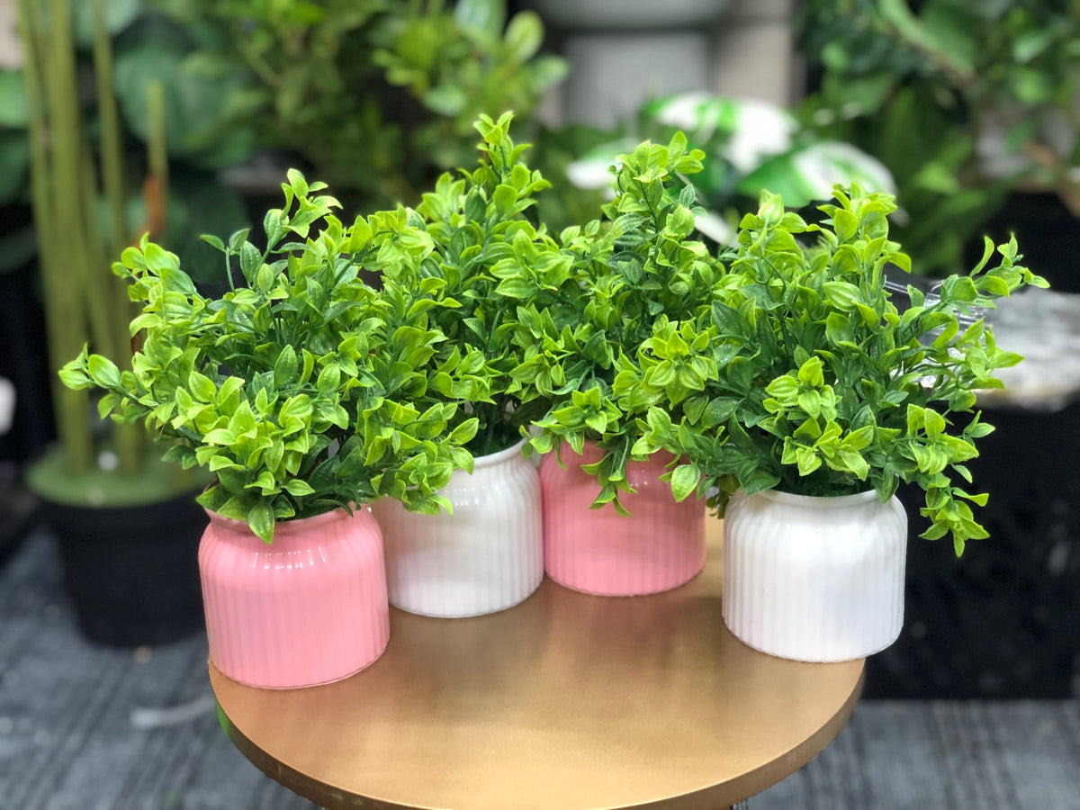 Artificial greenery pot combo offer - 4 pieces