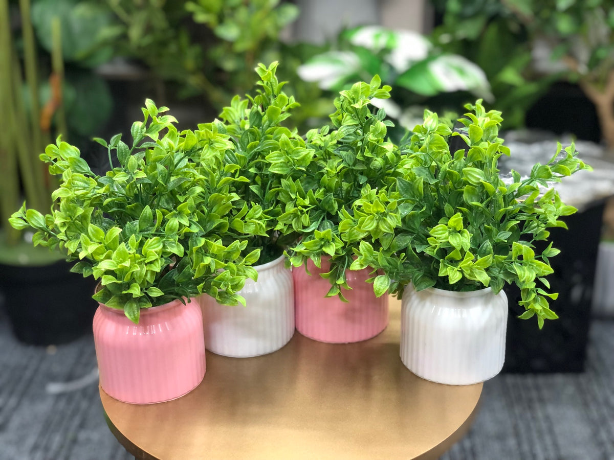 Artificial greenery pot combo offer - pink and white pots