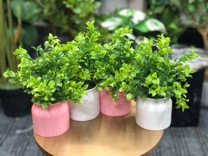 Artificial greenery pot combo offer - pink and white pots