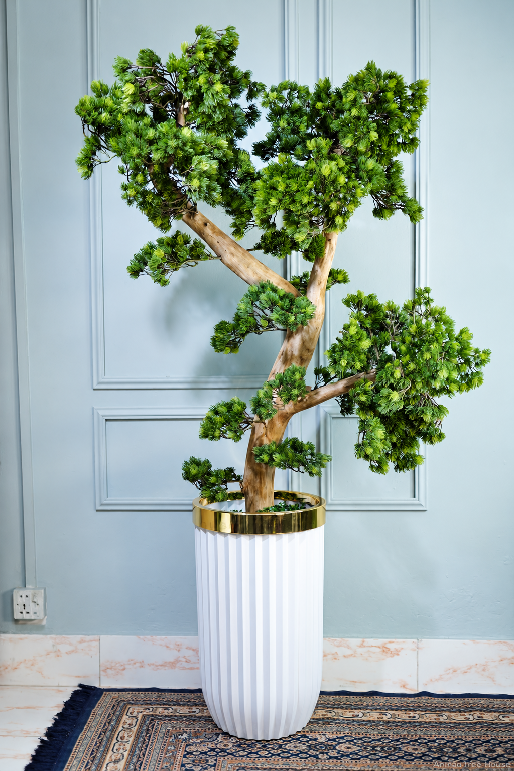 Branching bonsai in a tall fluted white planter — Ahmad Tree House project