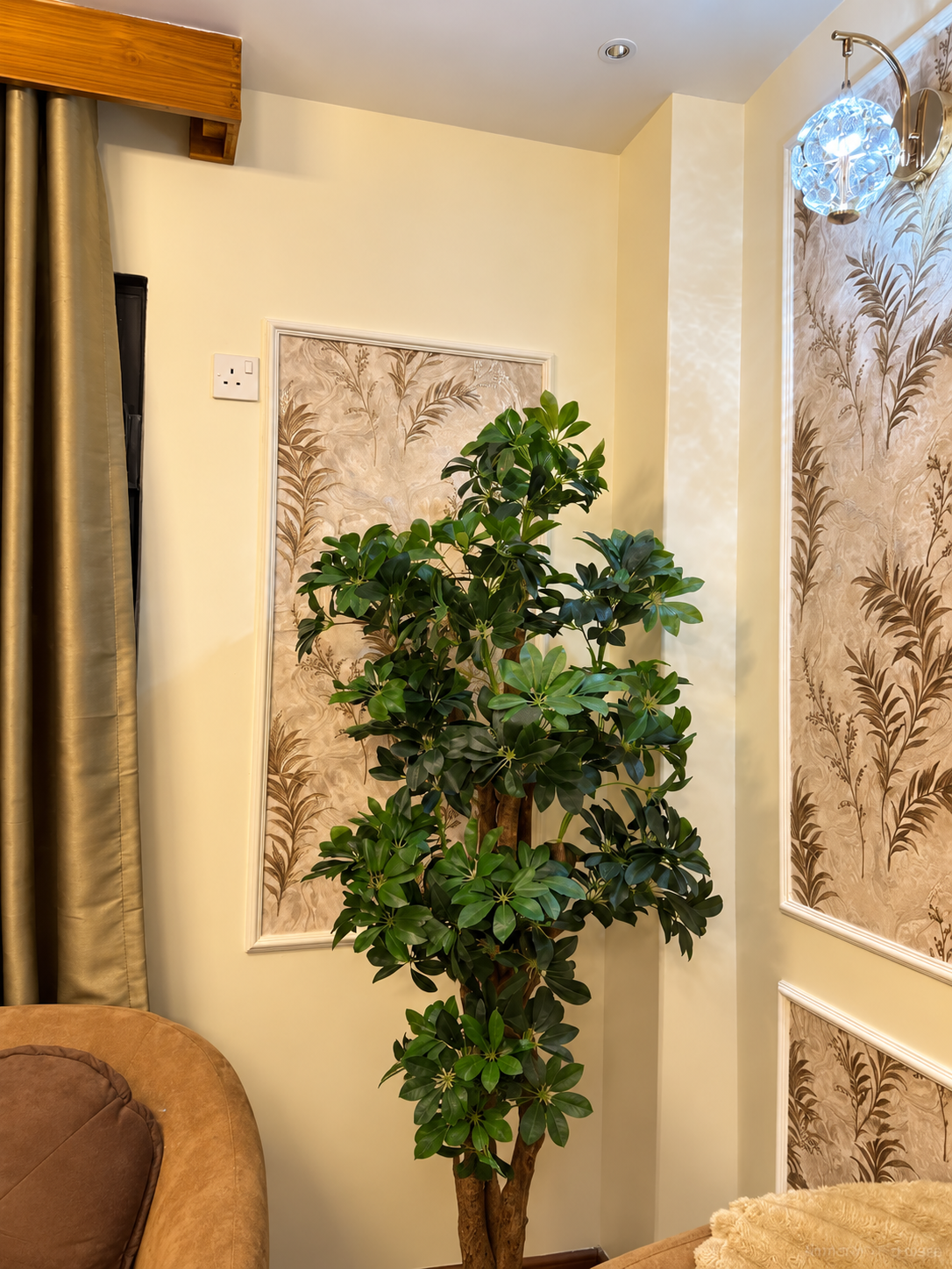 Indoor tree beside a patterned feature wall in a home — Ahmad Tree House project