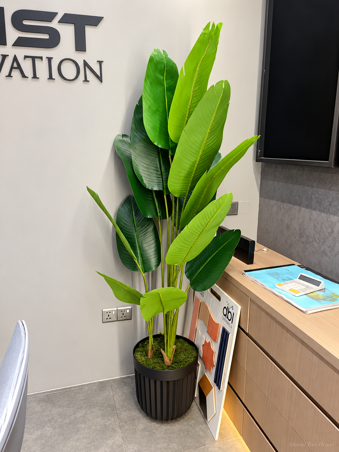 Bird-of-paradise statement plant beside an office counter — Ahmad Tree House project
