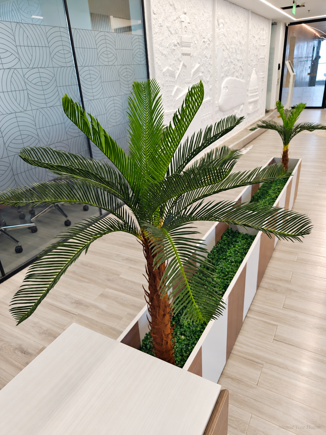 Cycas palm detail in a long office planter — Ahmad Tree House project
