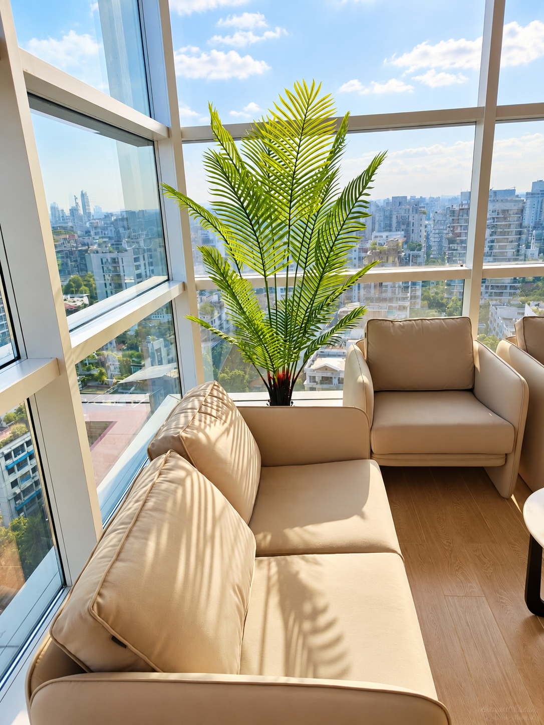 Palm beside lounge seating and office windows — Ahmad Tree House project