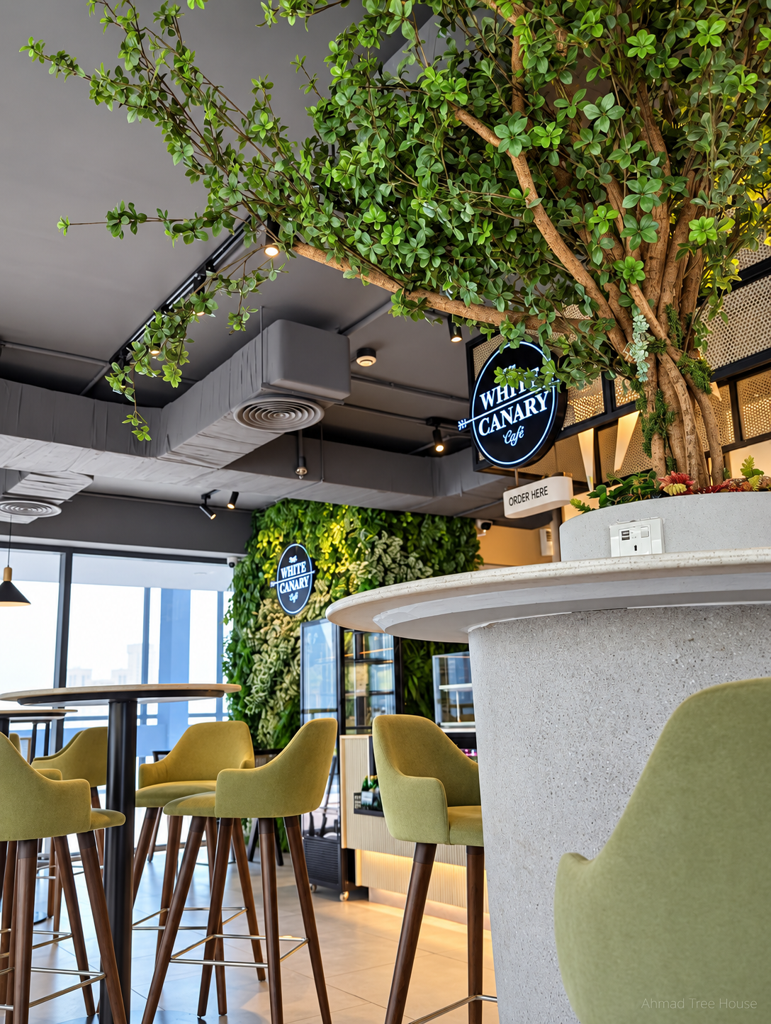 The White Canary Café counter tree from a wider angle — Ahmad Tree House project