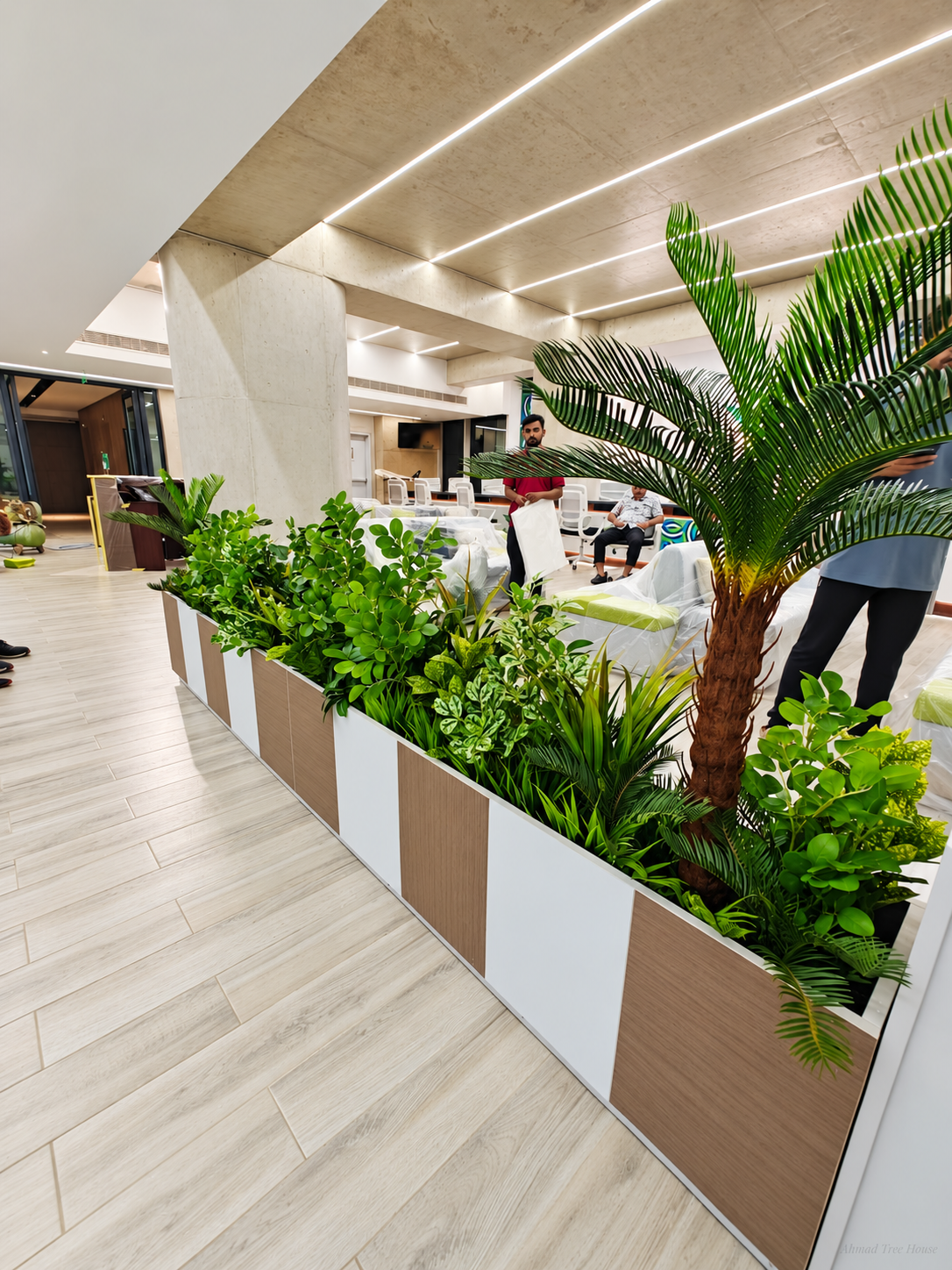 Office cycas and mixed foliage planter from a side angle — Ahmad Tree House project