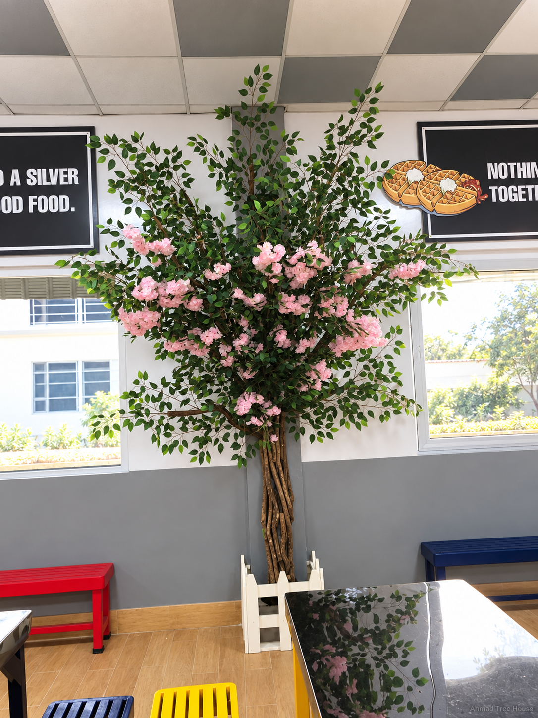 Pink flowering tree beside colourful restaurant benches — Ahmad Tree House project