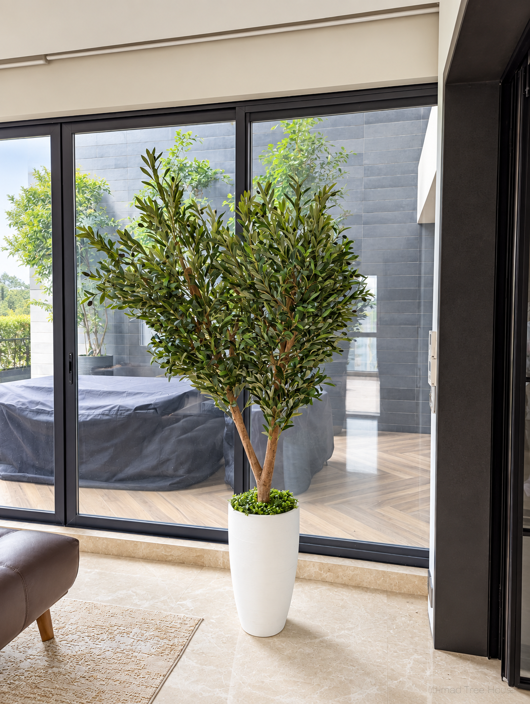 Olive tree beside a lounge window and terrace — Ahmad Tree House project