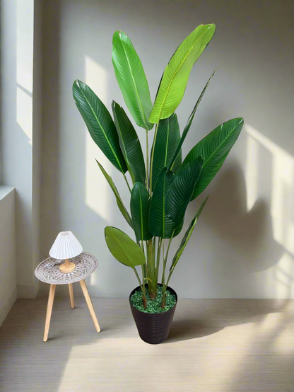 ATH-Bird's-Of-Paradise