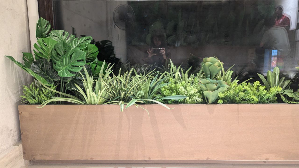 Home Greenery