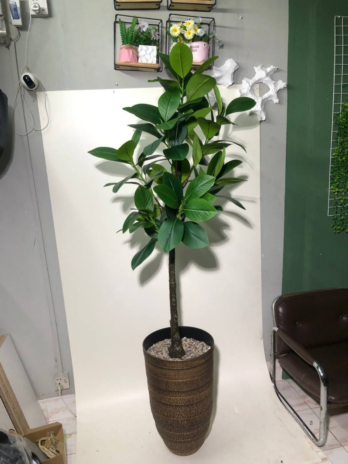 Original photo of 6 ft artificial rubber tree and fiber planter