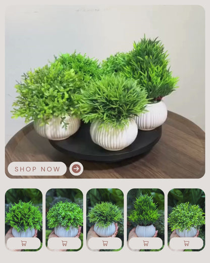 ATH – Miniature Artificial Bonsai Tree, Plastic Pot, Office Desk Greenery Decoration 212