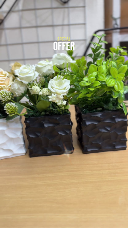 2 Flower + 2 Green Plants Combo | Lowest Price Offer – Only 950 TK