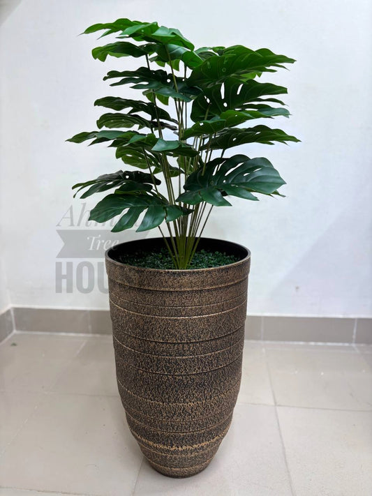 Monstera With Antique Fiber