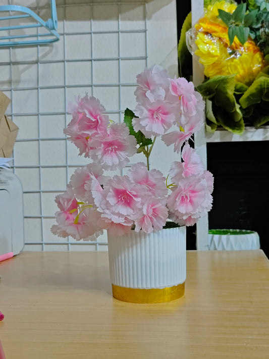 Buy 1 Get 1 FREE White and Pink Blossom Mini Pot