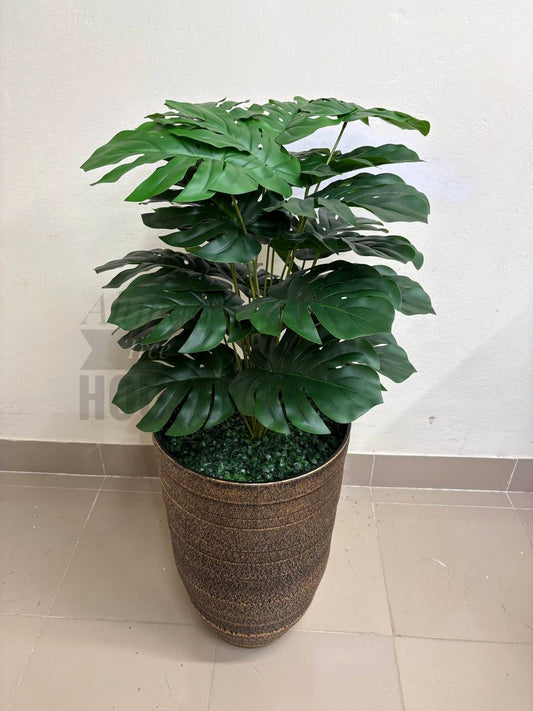 Monstera With Antique Fiber