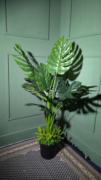 Ath Monstera