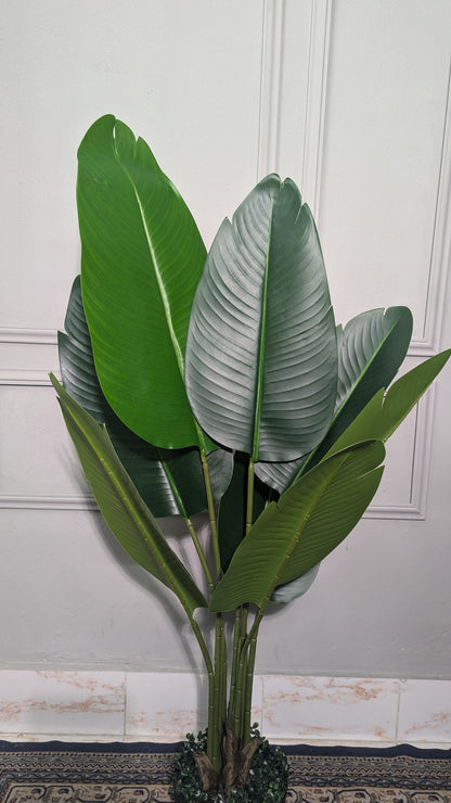 Ath 4ft birds of paradise
