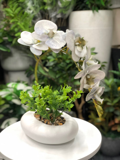 Premium artificial orchid tabletop decor