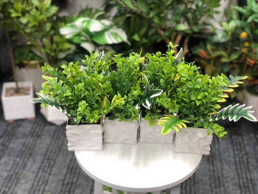 Four artificial greenery arrangements in textured white square pots